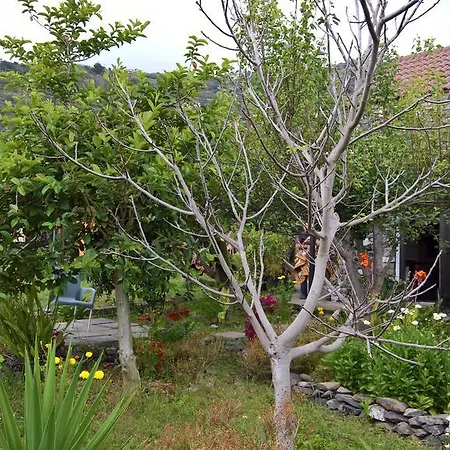 Paul Farm Ferienhaus Arco da Calheta (Madeira)